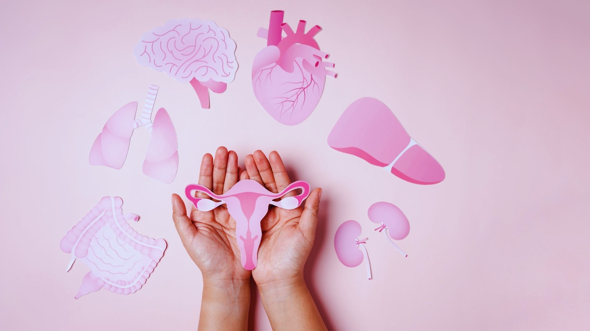 Ciclo menstrual y energía: cómo adaptar tu alimentación y ejercicio en cada fase - Jara Díaz