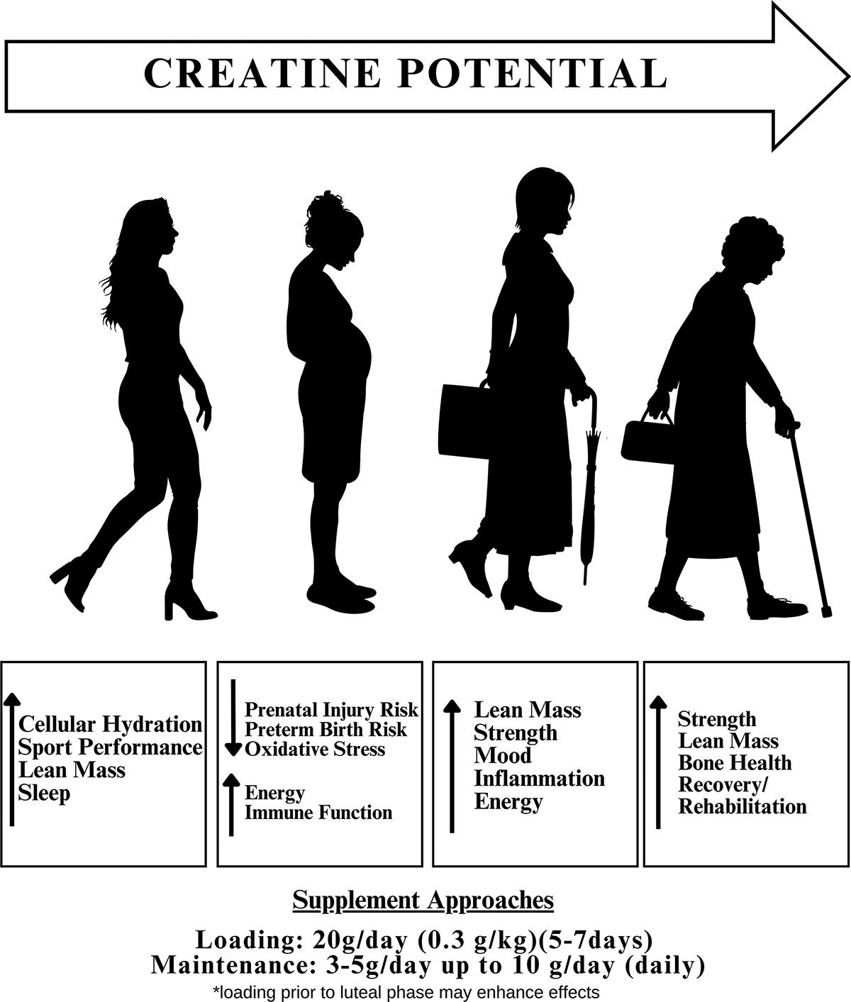 ¿Qué beneficios aporta la creatina para mujeres? - Jara Díaz